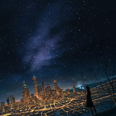 Midnight Silhouettes