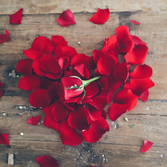 ♥مَشآعرُ الحُبِ في الرَحمَن تأتَلِقُ||