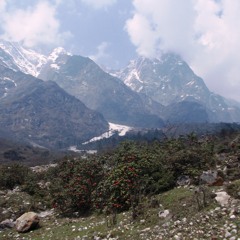 Yavanig Gotthu
