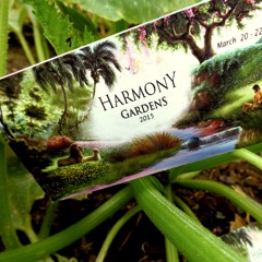 Harry Blotter "Psychedelic Explosion" - 4am Harmony Gardens 2015