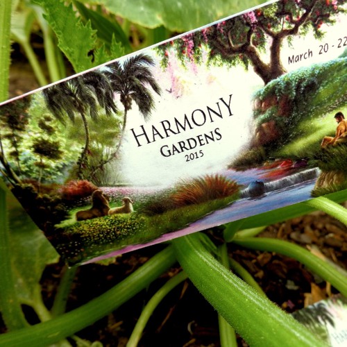 Harry Blotter "Psychedelic Explosion" - 4am Harmony Gardens 2015