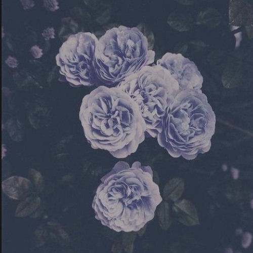 Stuff I Like