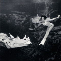 Orinoco Flow (Gloom's Allure Flow)