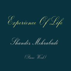 Experience Of Life