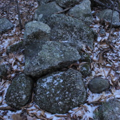 BAYSIDES MOST WANTED - YUNG TUP & GUCCI BREKFAST