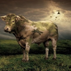 Sunny Vibes (Mmmmmmm)[Feat. MXM]