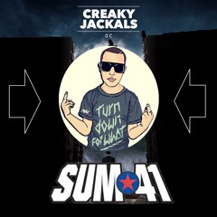 OC Vs  Fat Lip Vs Turn Down For What (MashUp)