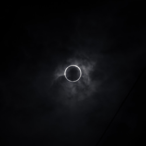 To The Sun