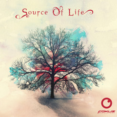 VA - Source of Life 7LP Box Set (OUT NOW!)