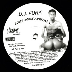 DJ FUNK "ALL THE HO'S"  DJ BRUCE LEE EDIT