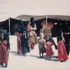 في البدو - زياد عوض