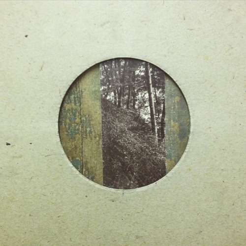 Leaf to Light - Strands & Chequerboard