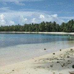 Real islanders 2