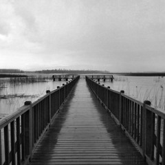 MFÖ - Güllerin İçinden (Enstrumental)