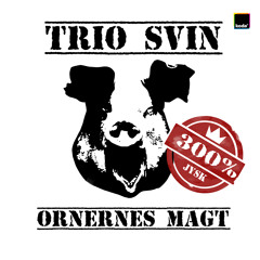 Velkommen til Skadestuen