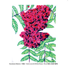 Kawabata Makoto - Woman From Dream Island