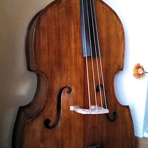 New idea for a song on Double Bass.