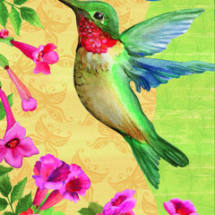 5. Beija-Flor ~ Cura II