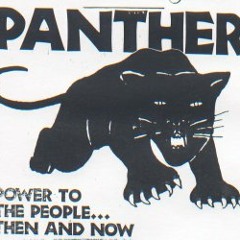 BLACK PANTHERS