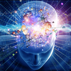 SHULBERT- LOGIC BRAIN - (ORIGINAL MIX)