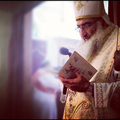 Avichinon - Fr. David Bebawy 2011