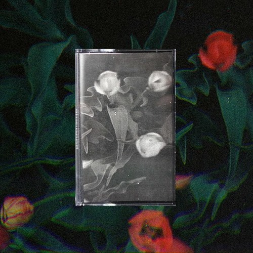 Cassette 2