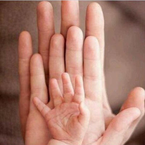 دوللى شاهين  زى القمر