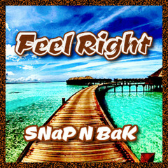 SNaP N BaK - Feel Right