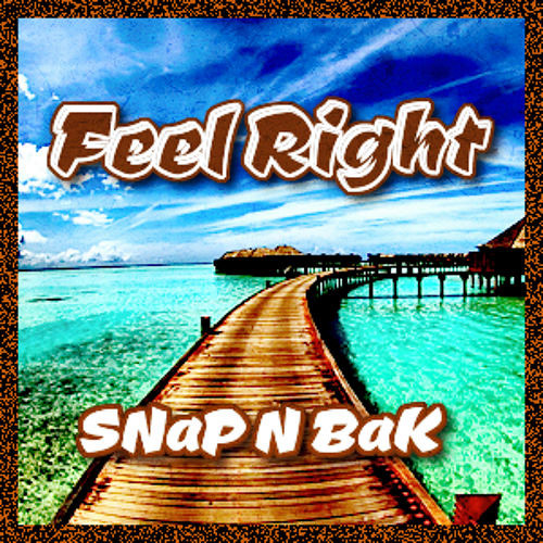 SNaP N BaK - Feel Right