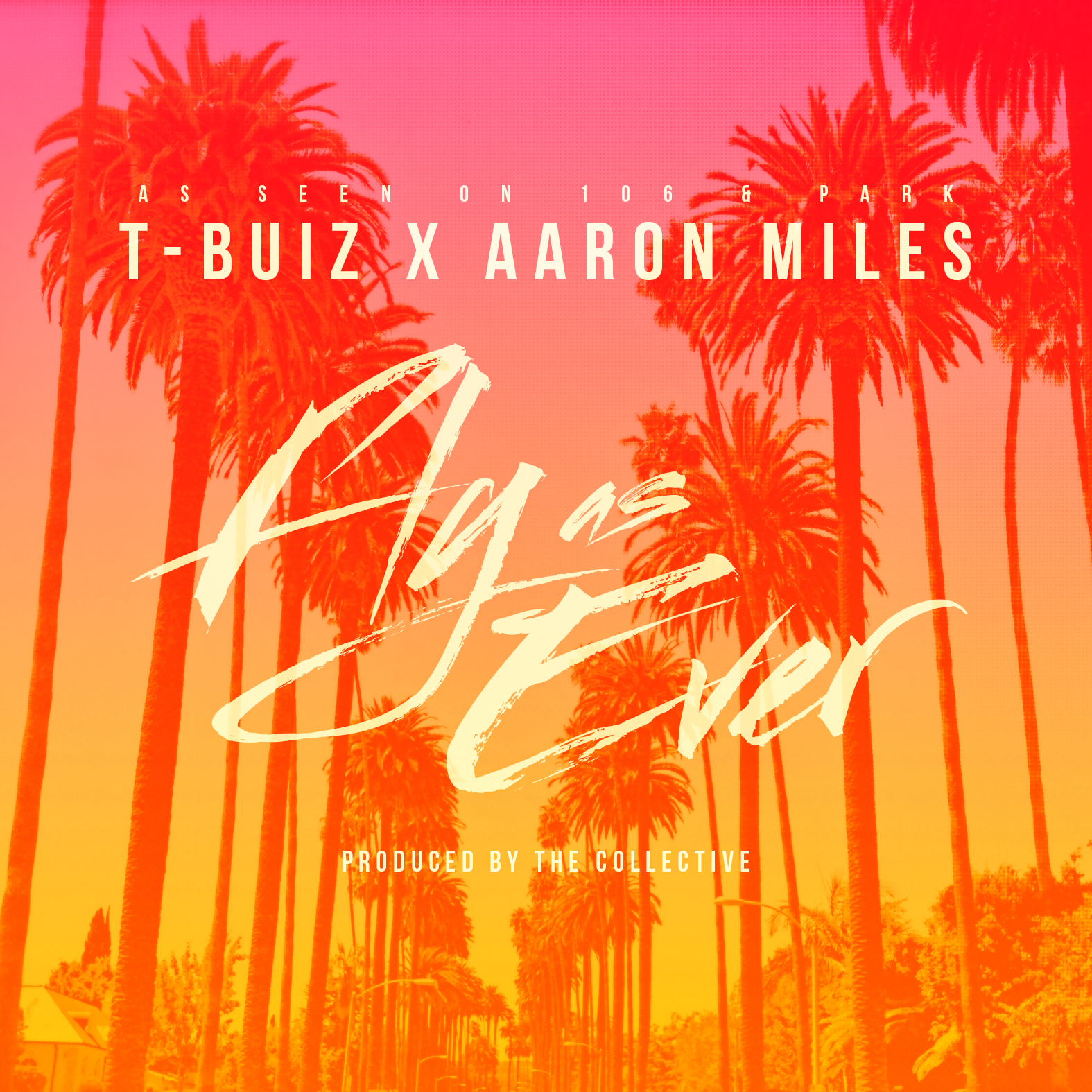 T-Buiz ft Aaron Miles - Fly As Ever [Thizzler.com]