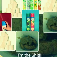 Shit, Booboo, Stank, Funk Etc!!! at Toilet Bowl Avenue