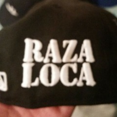 Vatos lokos Latosos RZL at RAZA LOKA SDN