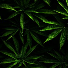 Chebaleba  Kruisi Hiljaa