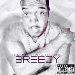 1.M.Breezy -  Breezy Intro (Freestyle)Prod. By The Synthesis