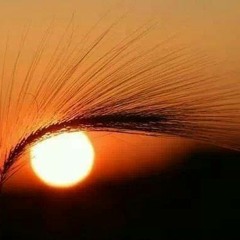 Season Of Light