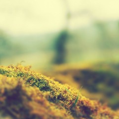 Driving Through The Morning ~ Blytz x Sam Brown