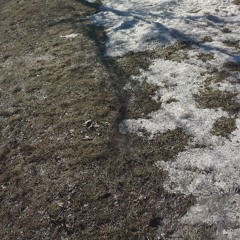 Youhavenothingtoprovetome