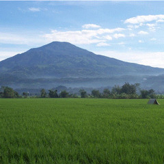 Mega Selvia & 6 Artis JK - Ketika Cinta Hadir Disini