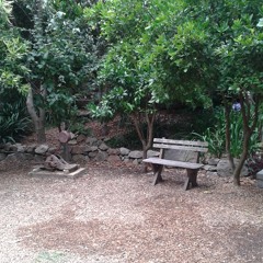 The same old thing as yesterday