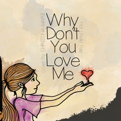 Why Don't You Love Me? (Hot Chelle Rae cover)