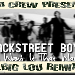 BACKSTREET BOYS - I WANT IT THAT WAY - (DJ.BIG LOU REMIX) - CLASSIC POP HIP HOP FLAVA..-