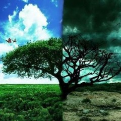 متى نعرف المُجرم من المُصلح ؟! - د.أحمد عبد المنعم