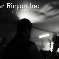 Calling The Lama From Afar