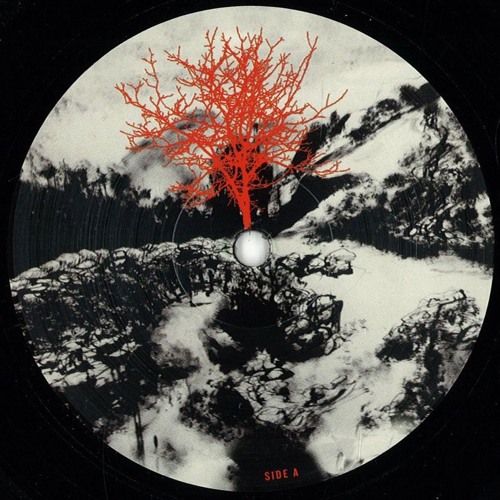 B1. Thomas A.S. -  North Lake (Nick Devon Remix) Snippet // OUT on Vinyl // 27.04.15 Digital