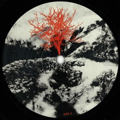 Thomas A.S. - North Lake EP (Snippets) // OUT on Vinyl // 27.04.15 Digital
