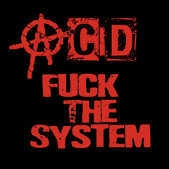 Acid Beat Fuck The System