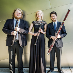 Schulhoff: Divertissement, Mov. 4: Charleston