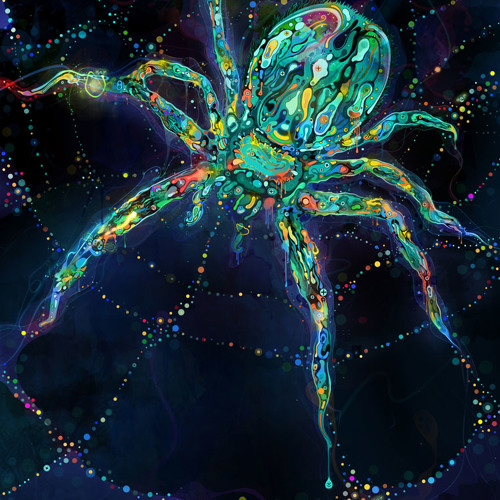 Apokaliptik - Spider Loops