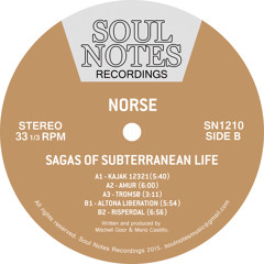 SN1210 - Norse - Sagas Of Subterranean Life