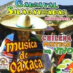 carnaval silacayoapan chilena 4